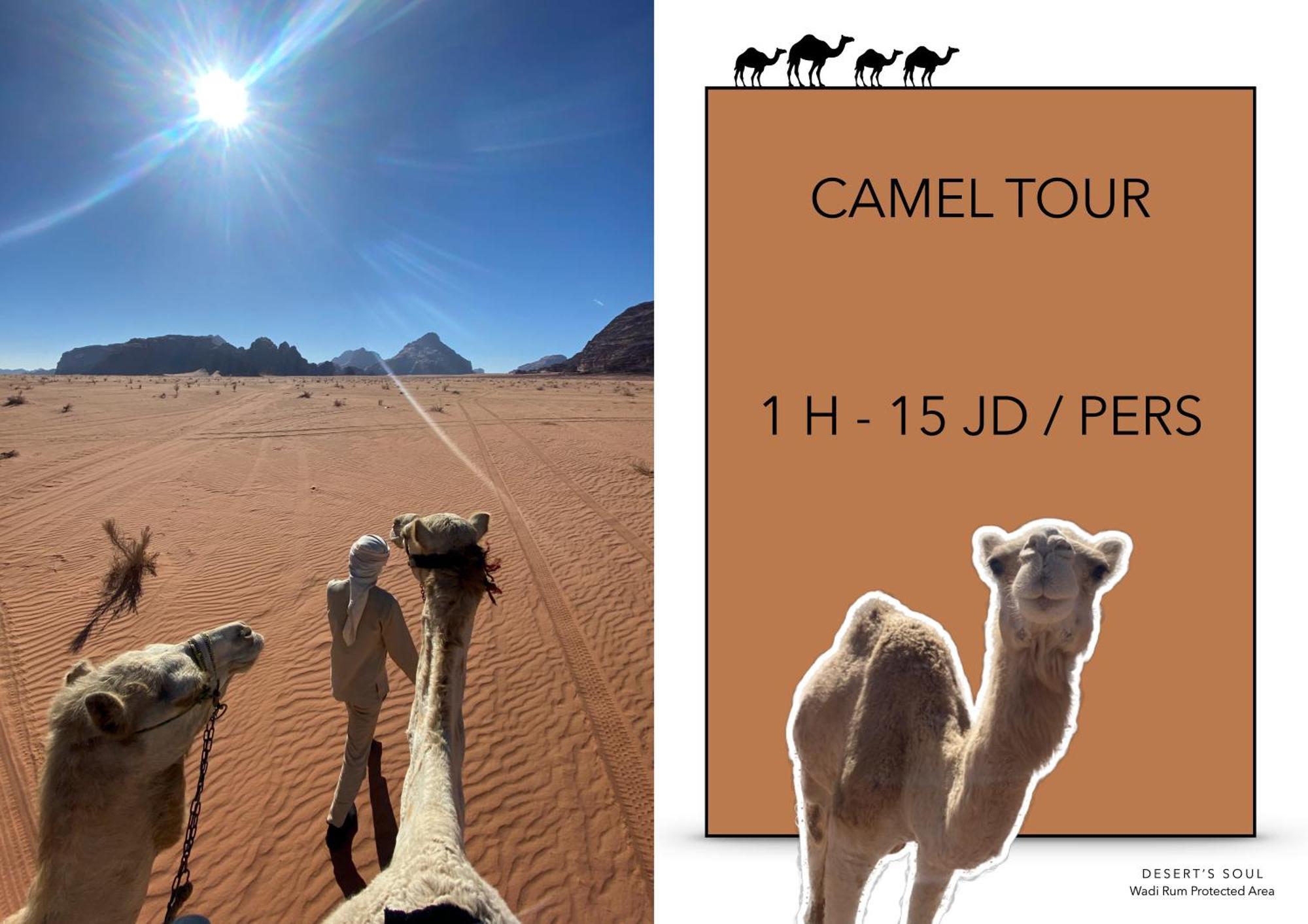 Desert'S Soul Wadi Rum Ad Disah Εξωτερικό φωτογραφία