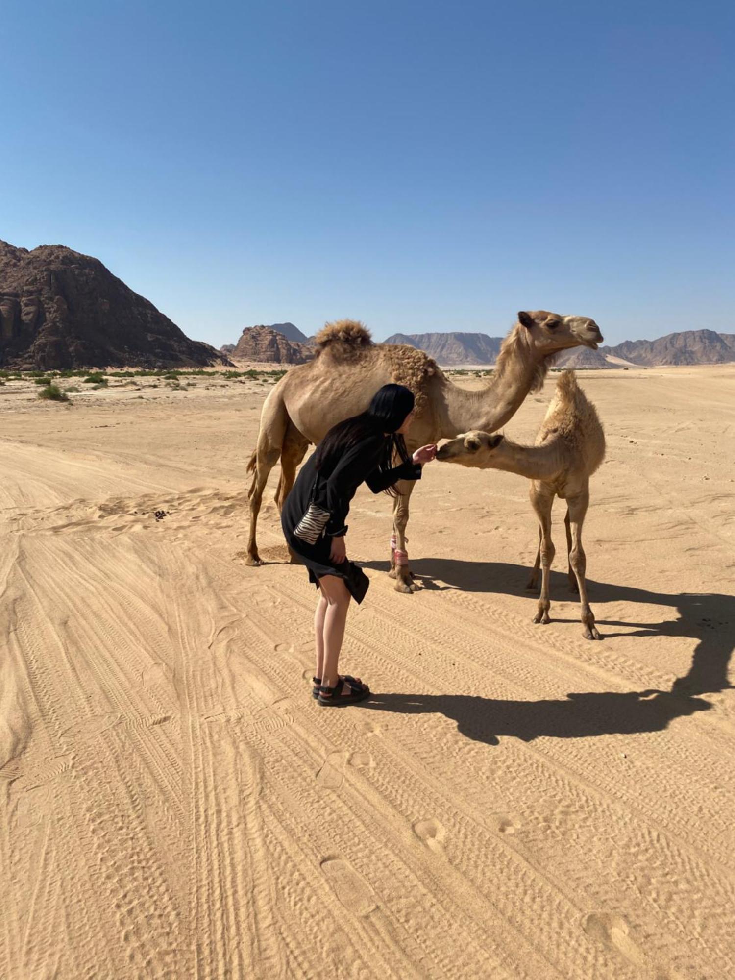 Desert'S Soul Wadi Rum Ad Disah Εξωτερικό φωτογραφία